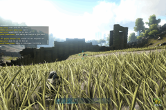 1-16-2018-8-25-59-am-xbox-5murf