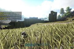 12-31-2022-5-01-42-pm-ygwkp4rd-xbox-5murf
