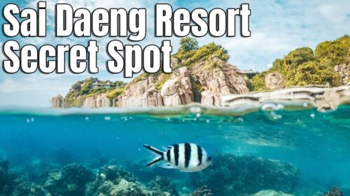 Secret Snorkeling Spot at Sai Daeng Resort in Koh Tao Thailand
