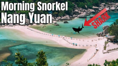Morning Snorkel on Nang Yuan Island in Koh Tao Thailand